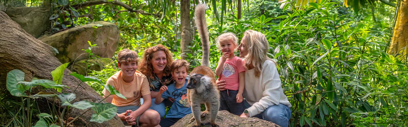 Emmen Zoo – Tickets + Hotelaufenthalt Inklusive