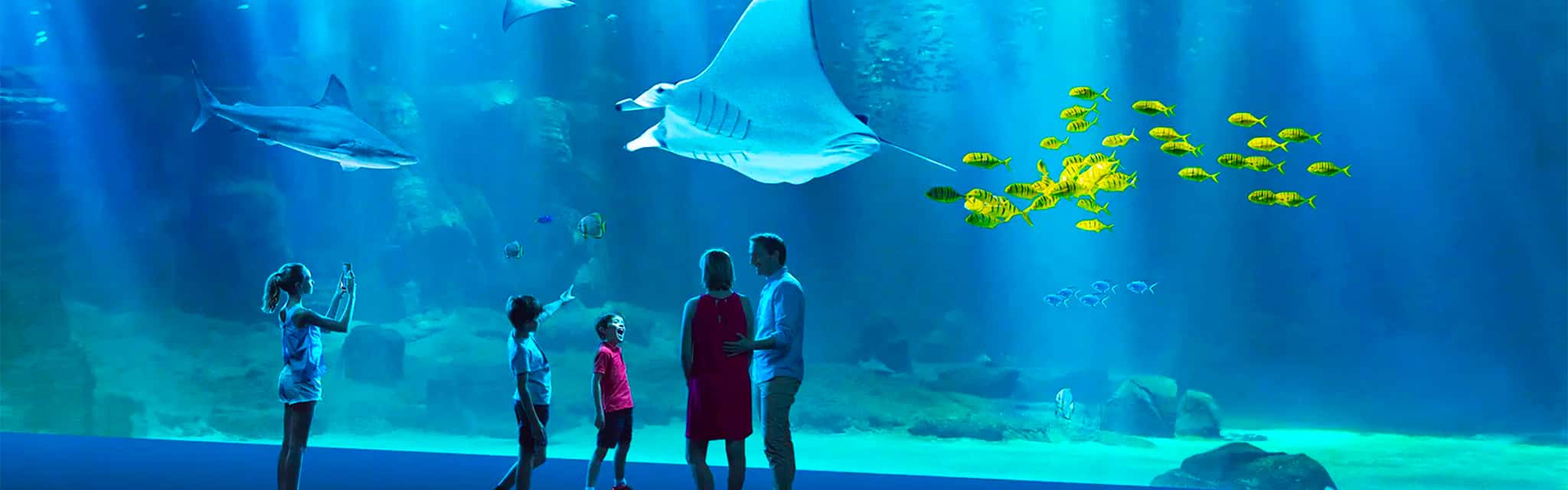 Boulogne-sur-Mer einschließlich Nausicaá Aquarium Ticket