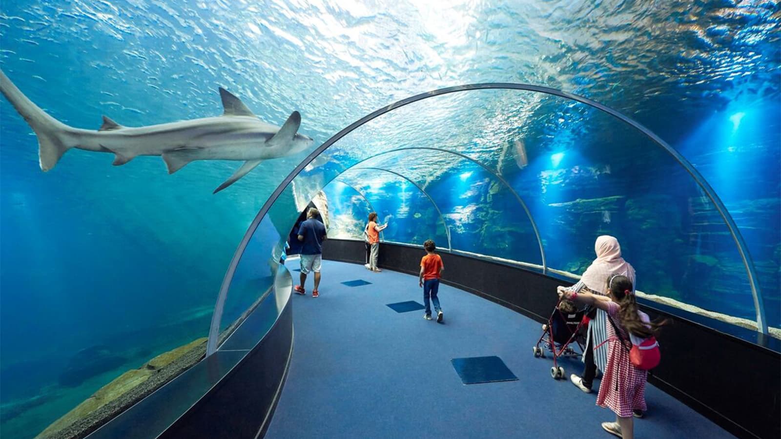 Boulogne-sur-Mer einschließlich Nausicaá Aquarium Ticket foto 2